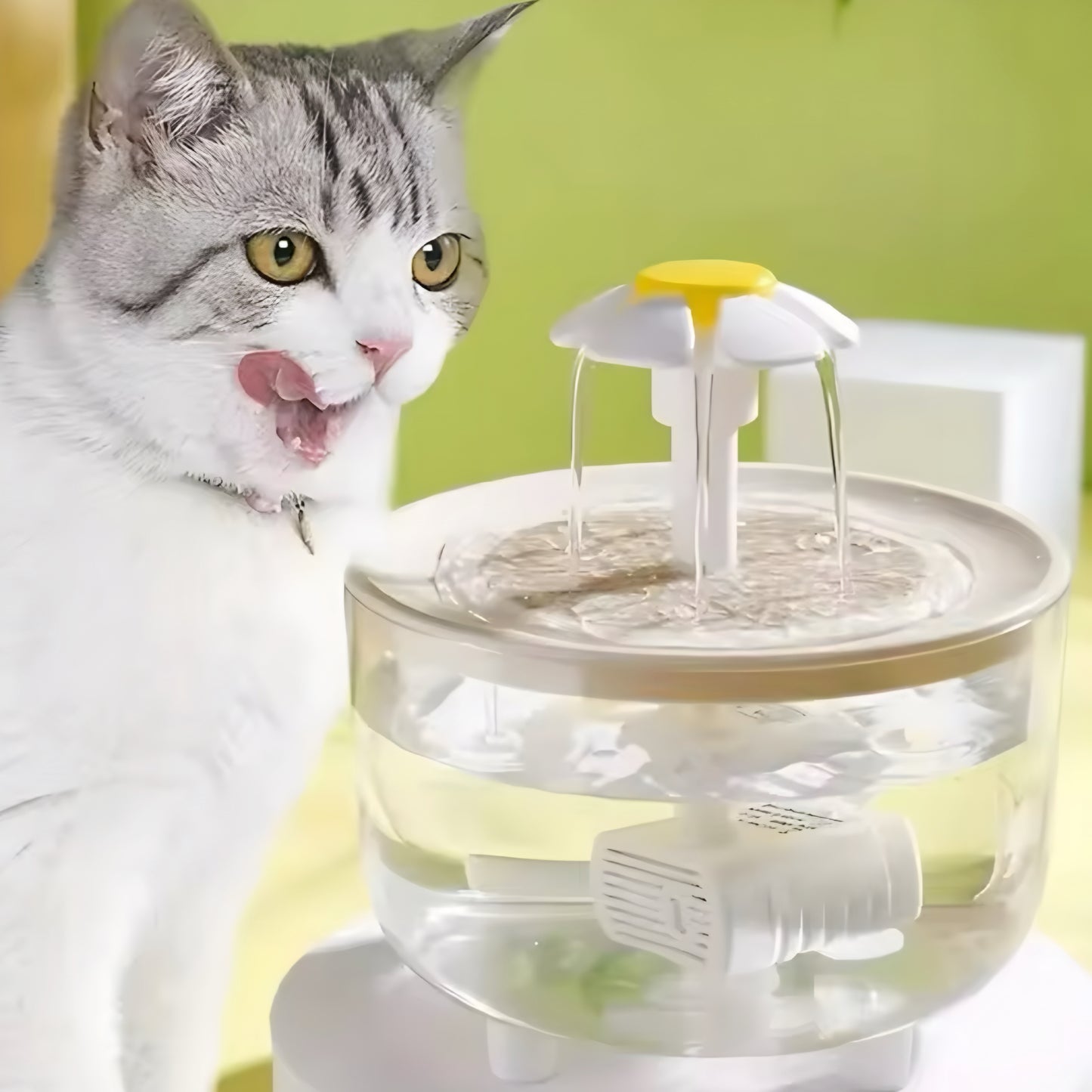 Pet Water Fountain